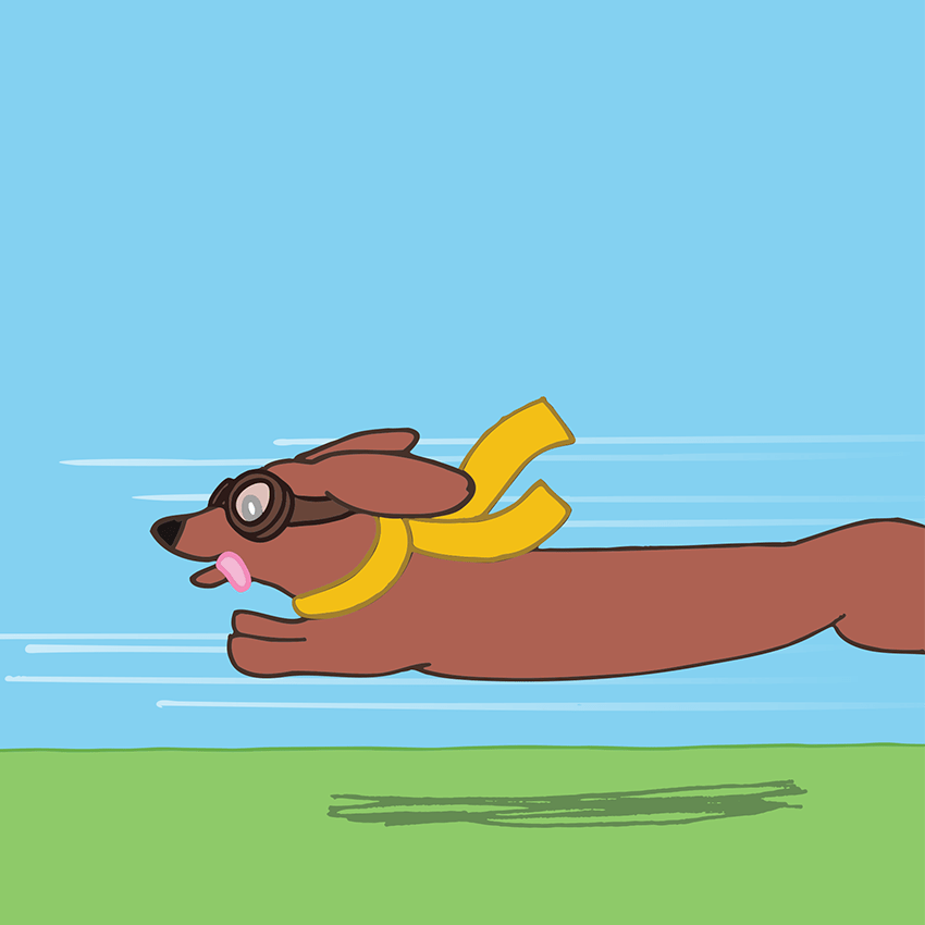 Fast 2